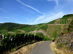 DE - Dernau - Auf dem Rotweinwanderweg