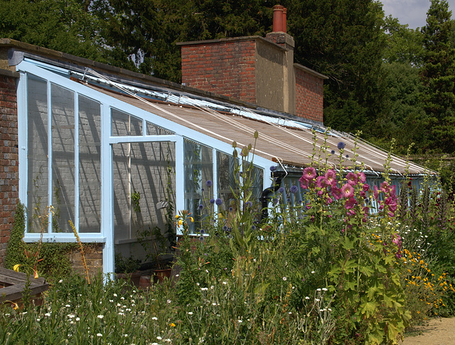 Darwin's Greenhouse
