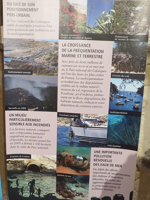 Exposition sur la pêche en Méditerranée.
