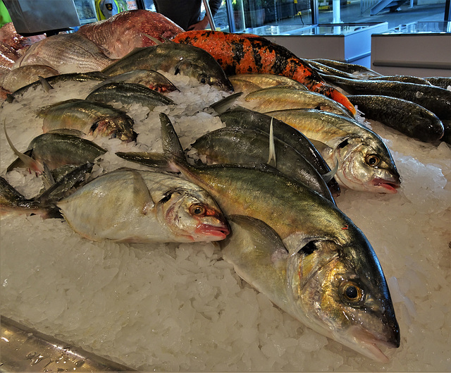 Auckland Fish Market 1