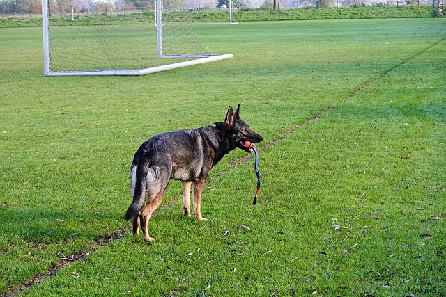 Maxi op het voetbalveld