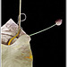 The 50 Images Project - tea bag - 41/50 - flowering bag