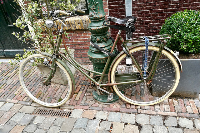 Simplex bicycle