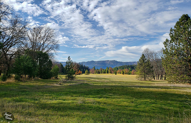 Joseph Stewart State Park, Set 3: The Beauty Never Ends! (+10 insets!)