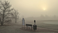 Morgensonne und Nebel am Golfplatz Kurpfalz