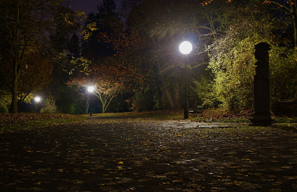 Eine Herbstnacht im Park - An autumn night in the park