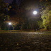 Eine Herbstnacht im Park - An autumn night in the park