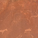 Namibia, Rock Carvings in the Twyfelfontein Valley