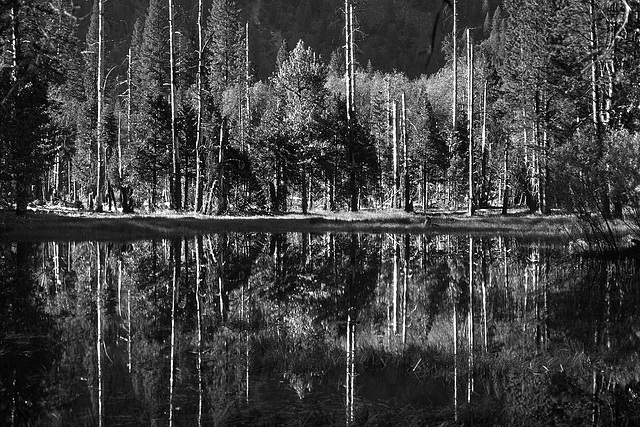 Yosemite - Merced River - 1986
