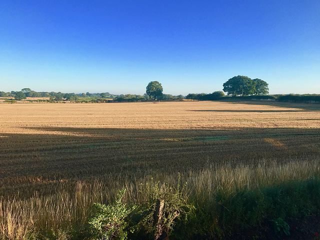 Early morning in Gnosall