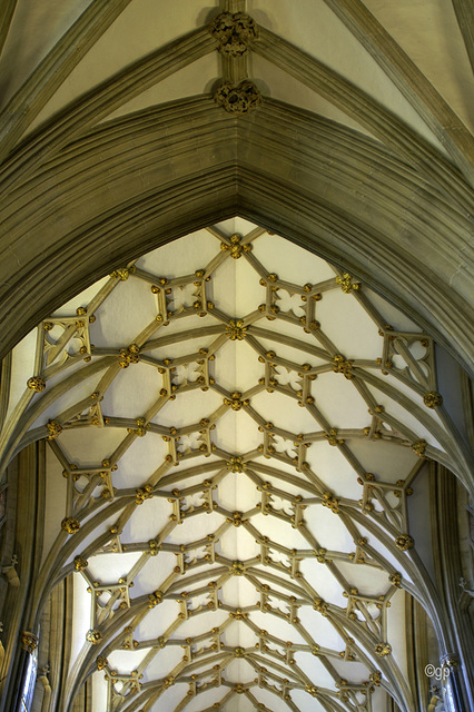 Ceiling Vaults of Wells Cathedral 1 (PiP)