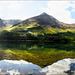 Buttermere Reflection's