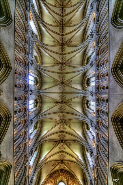 Ceiling Vaults of Wells Cathedral 2 (PiP)