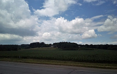 Campagne ontarienne / Ontario countryside (Canada)