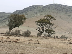Mount Bryan from the east