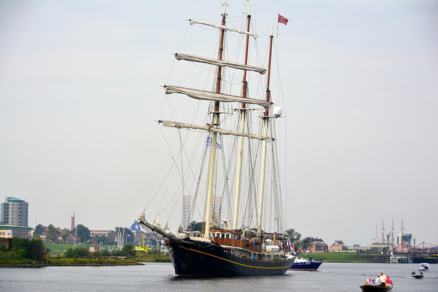 Sail 2015 – Gulden Leeuw