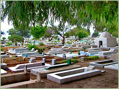 Hammamet : il cimitero musulmano della città sulla fortezza con vista mare, curato e ordinato.
