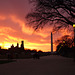 Sunset on the Mall optomized for orange