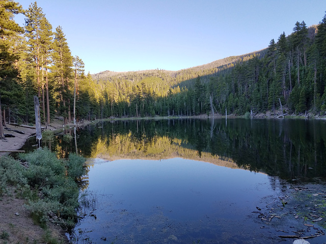 Withers Lake, with reflections
