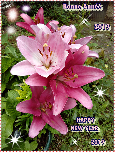 Bonne Année 2019 , Bloavez Mat, feliz año nuevo, happy new year, ein gutes neues Jahr, kali chronia,felice anno nuovo,
