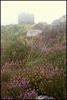 Carn Brae Castle in the fret (mist) and heather