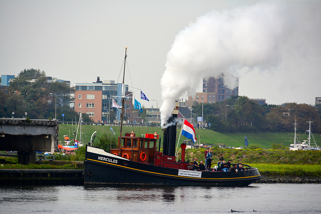 Sail 2015 – Steam tug Hercules blowing its whistle
