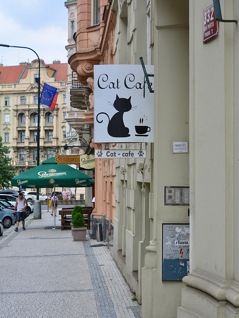 Prague 2019 – Cat cafe