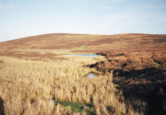View Northwards across bogland to Wildmoor Pool on the Long Mynd (Jan 1990, scan)