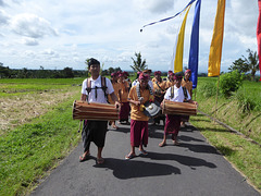 Musicians in Indonesia