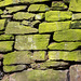 Green stone wall 1
