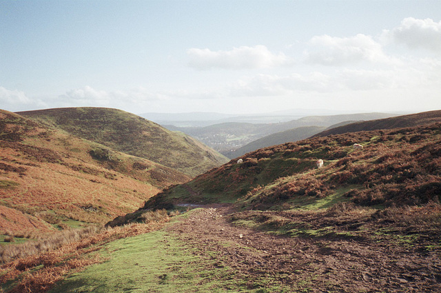 View looking back towards Church Stretton and Long Mynd ponnies (Jan 1990, scan)