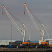 The Cranes of Sunderland