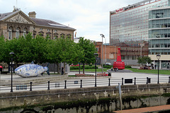 IMG 5224-001-Donegall Quay