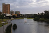 River Torrens View