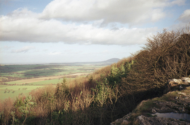 On Wenlock Edge looking towards the Wrekin (Jan 1990 scan)