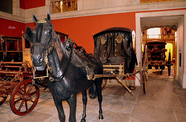 Museo de carruajes (PiP-3/9)