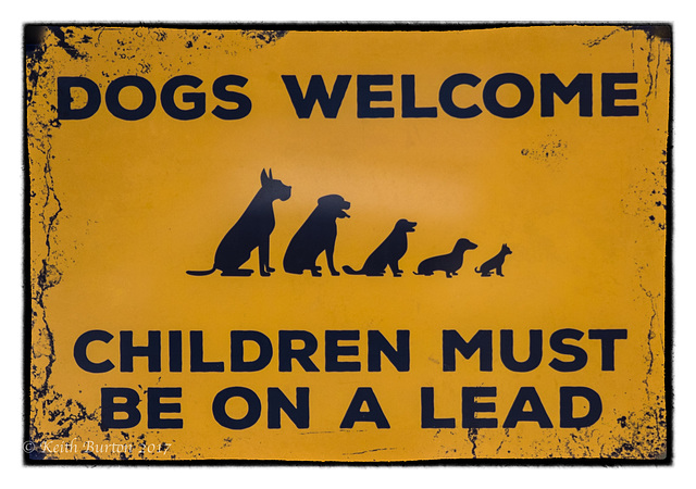 Dogs Welcome........