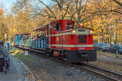 Lok Nr. 6006 der Chemnitzer Parkeisenbahn