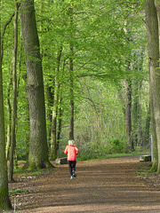 Jogging im Frühlingswald