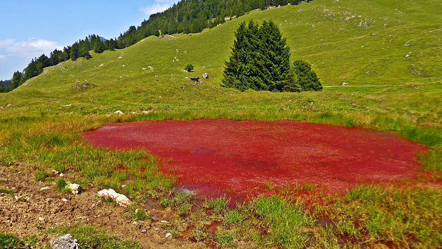 In Tirol war der See rot gefärbt ...