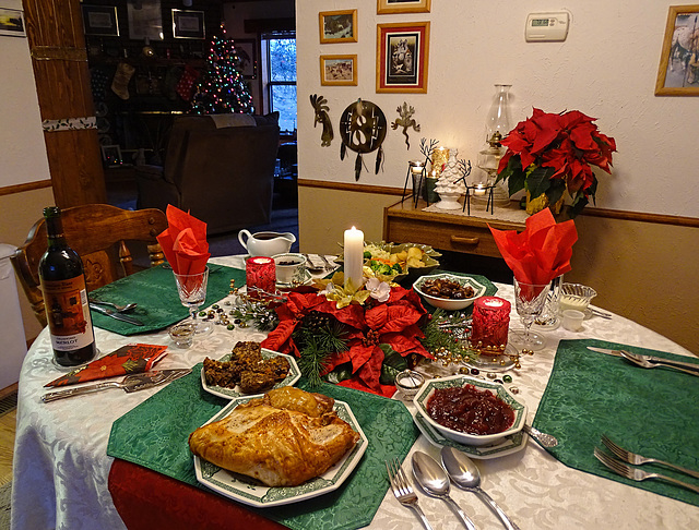 Christmas Day Dinner 2015
