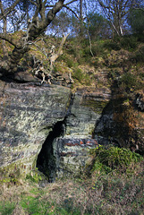 Wallace's Cave