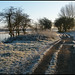 Thames Path in the frost