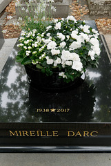 Mireille Darc (Actrice, réalisatrice)