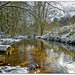 Winter reflections on the Derwent - North Yorkshire
