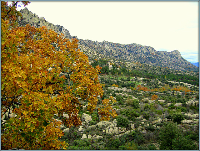 Autumn in the Sierra de La Cabrera.
