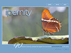 Ipernity Homepage since 2020
