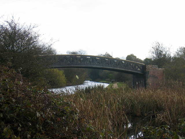 Dudley No.2 Canal at Blackbrook Junction, Netherton.
