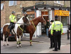 Oxford mounted police