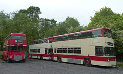 Buses at Bursledon Brickworks (14) - 11 May 2018